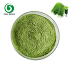 Concentrate Type Organic Wheatgrass Powder Food Supplement