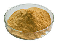 22888-70-6 Silymarin Milk Thistle Extract Powder Silibinin Hplc 70% Yellow Powder