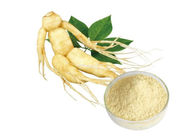 CAS 90045-38-8 Ginseng Extract Powder Pure Natural Ginsenoside 20% for Healthcare