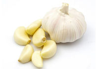 Natural Organic Garlic Powder Allicin 5% for Antibiotic And Antimicrobial