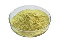 Herbal Extract Powder Ginger Root Extract Powder Gingerols 1% 5% 10%