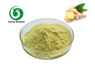 Herbal Extract Powder Ginger Root Extract Powder Gingerols 1% 5% 10%