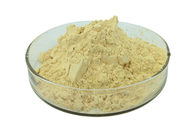 Anti-Aging Ginseng Extract Powder Ginsenoside 30% Medical / Food Grade