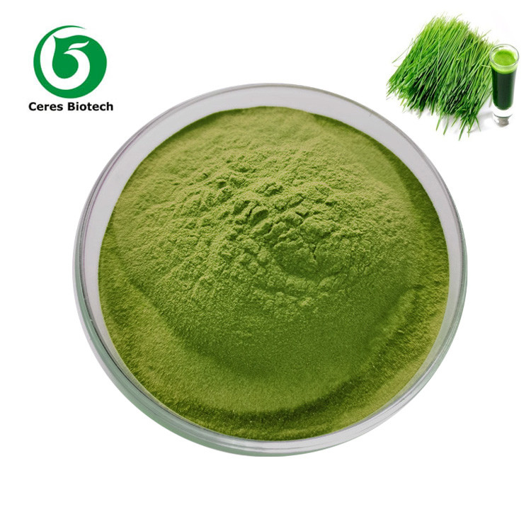 Organic Concentrate Wheat Grass Juice Powder Supplement For Food Industry