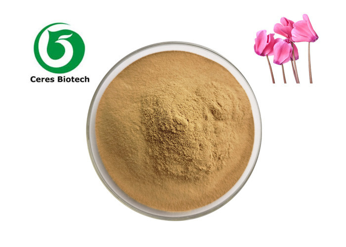 Food Grade Herbal Extract Powder Cyclamen Europaeum Extract 99%