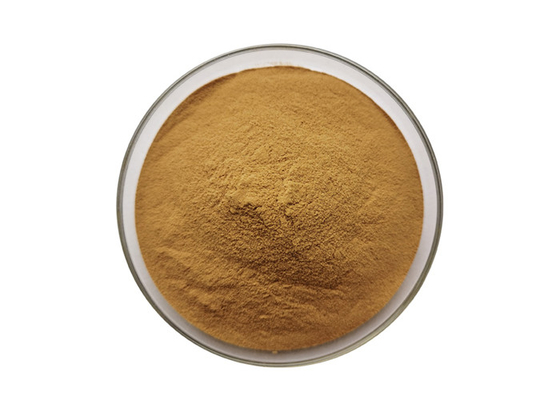 Natural Herbal Extract Powder Honeysuckle Flower Chlorogenic Acid