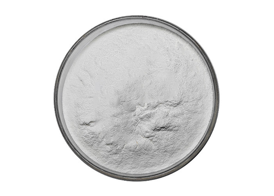 Andrographis Paniculata Extract Powder for Natural Anti-Inflammatory and Pain Relief
