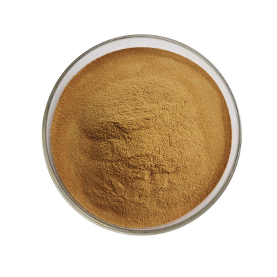 Food Grade Sheep Sorrel Extract Rumex Acetosa Extract Powder