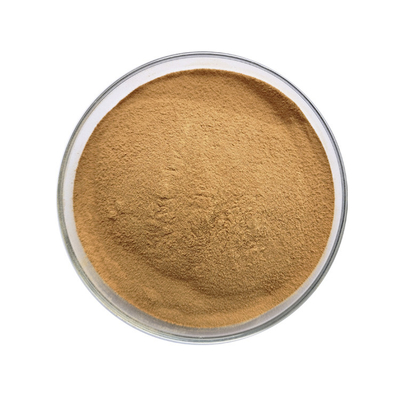 Natural Pure Peanut Skin Extract Powder With 60%-95% Proanthocyanidin For Health