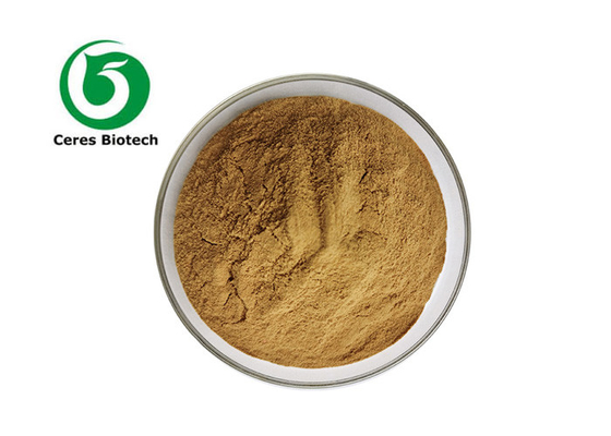 Bulk Cordyceps Militaris Extract Polysaccharide 50% Cordycepin 0.3%
