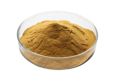Natural Tongkat Ali Root Extract 200:1 Powder