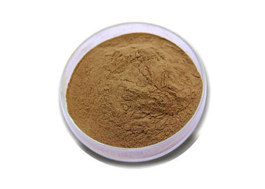 Plantain Herb Extract Powder The Top Herbal Extract Powder for Health