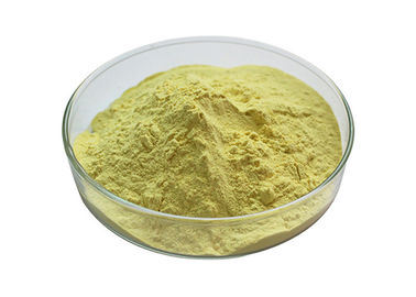 Improving Immunity Pine Pollen Herbal Extract Powder