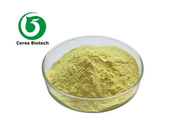 Improving Immunity Pine Pollen Herbal Extract Powder