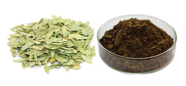 Factory Wholesale Food Grade Laxatives Sennoside Senna Leaf Extract