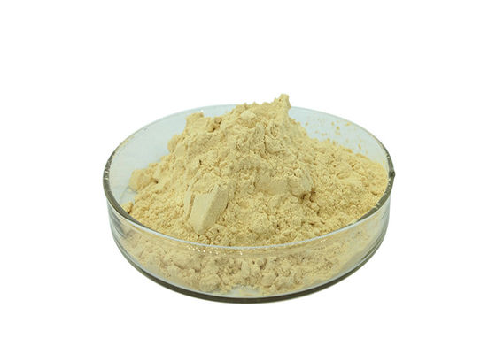 Natural Pure Peanut Extract 60%-95% Proanthocyanidin Powder