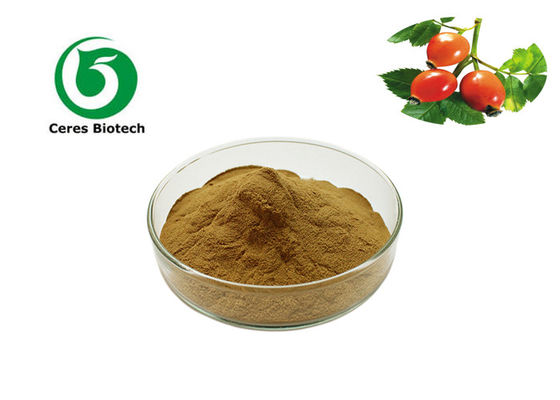 Hot Sale 5%VC Rosehip Extract Powder for Boosting Metabolism and Blood Circulation