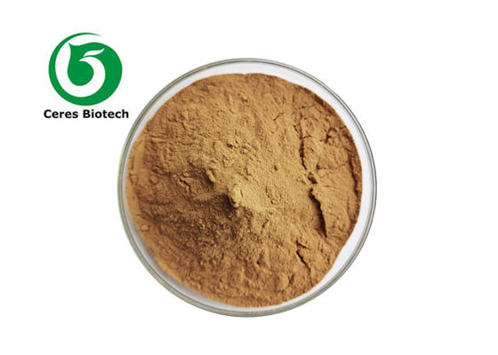 Natural Pomegranate Peel Extract 40% Ellagic Acid for Food and Pharmaceutical Benefits
