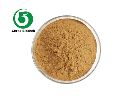 Natural Herbal Extract Powder Honeysuckle Flower Chlorogenic Acid