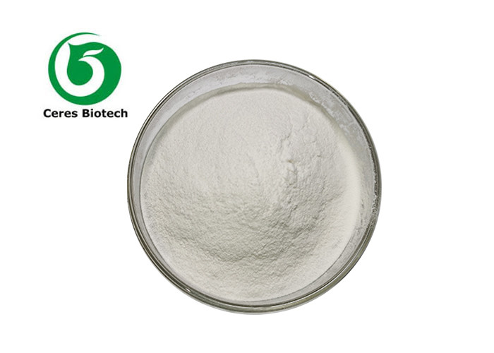 Organic Herbal Extract Powder Saw Palmetto Extract Fatty Acid 25% 45%