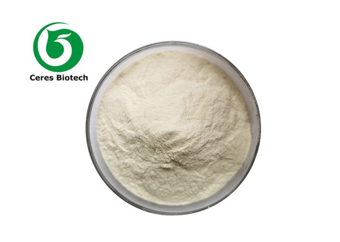 Health Care Cactus Extract Powder for Promoting Blood Circulation